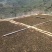普耳茶，邦东大雪山高海拨的邦东大树茶2023年新茶上市