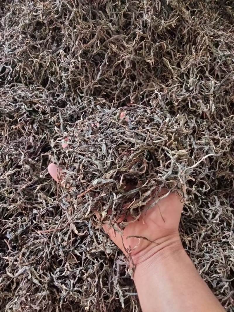 普耳茶，昔归片区的邦东古树岩茶，欢迎订购