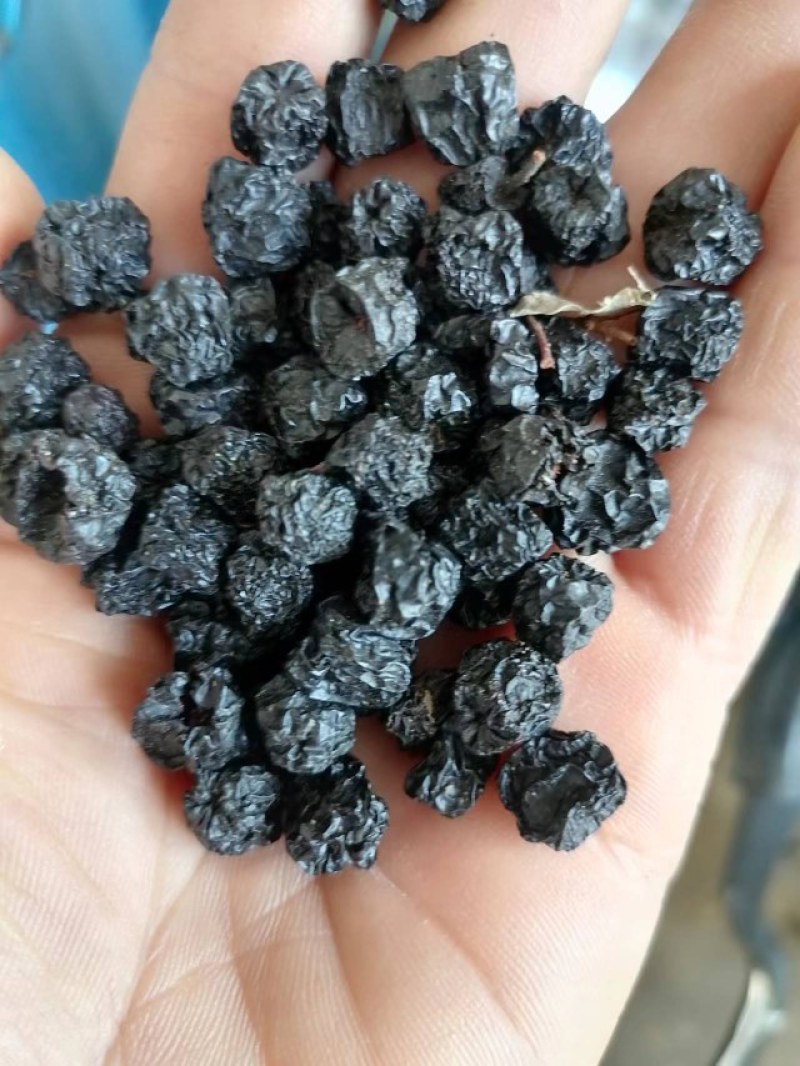 优质黑果腺肋花楸干果产地辽宁丹东，批发零售量大优惠