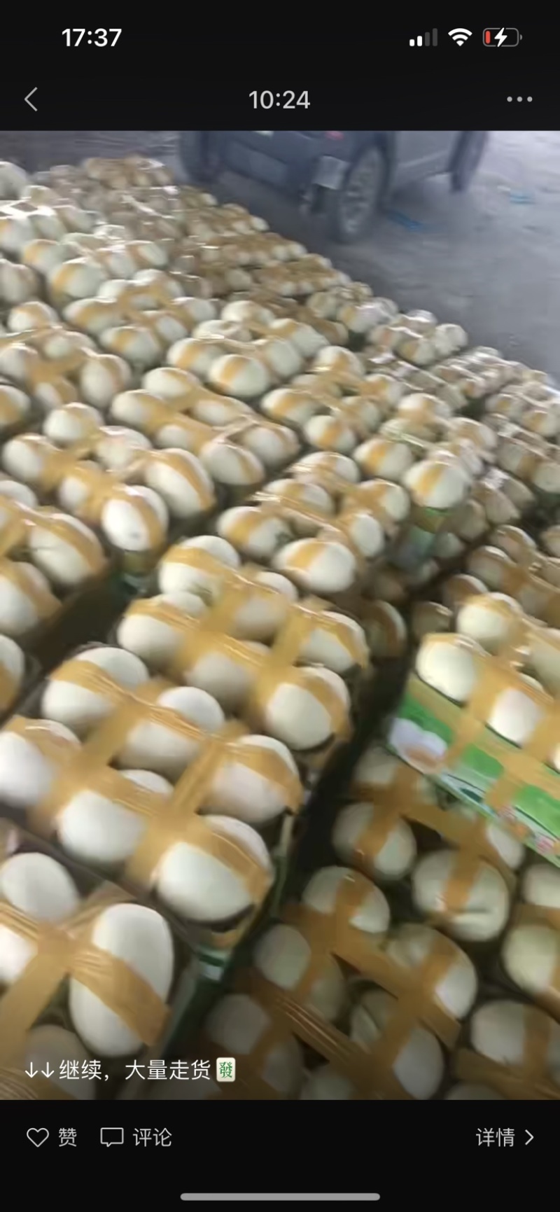 博洋系列