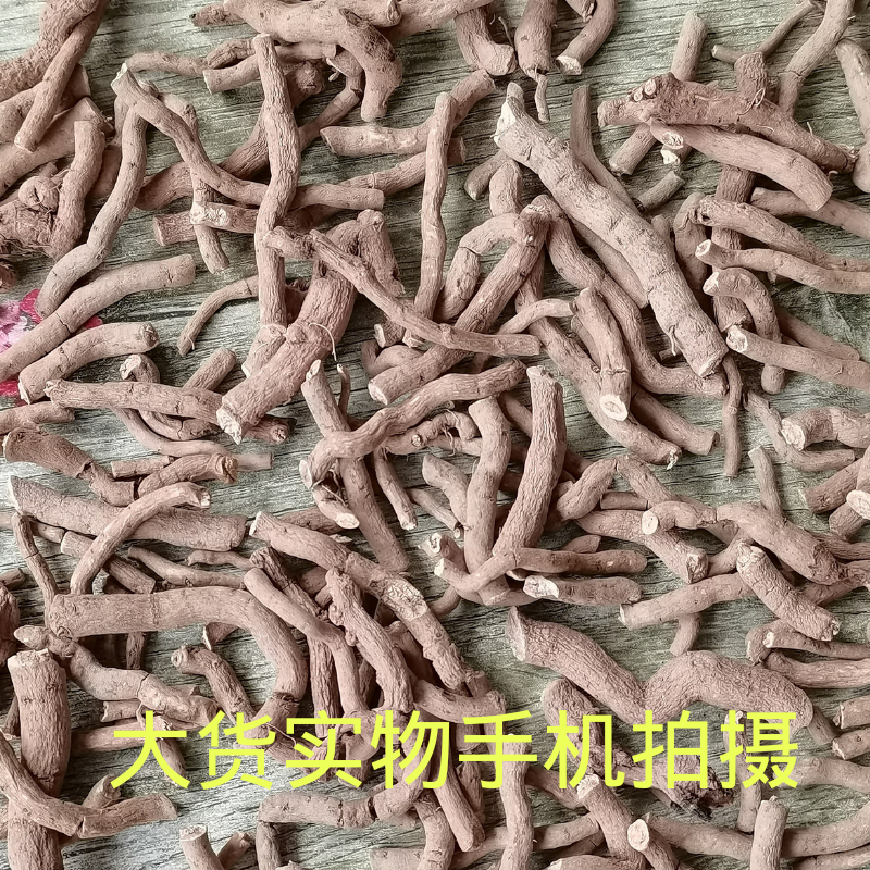 粗加工川木香土木香根量大从优需要联系不满意可以退换货