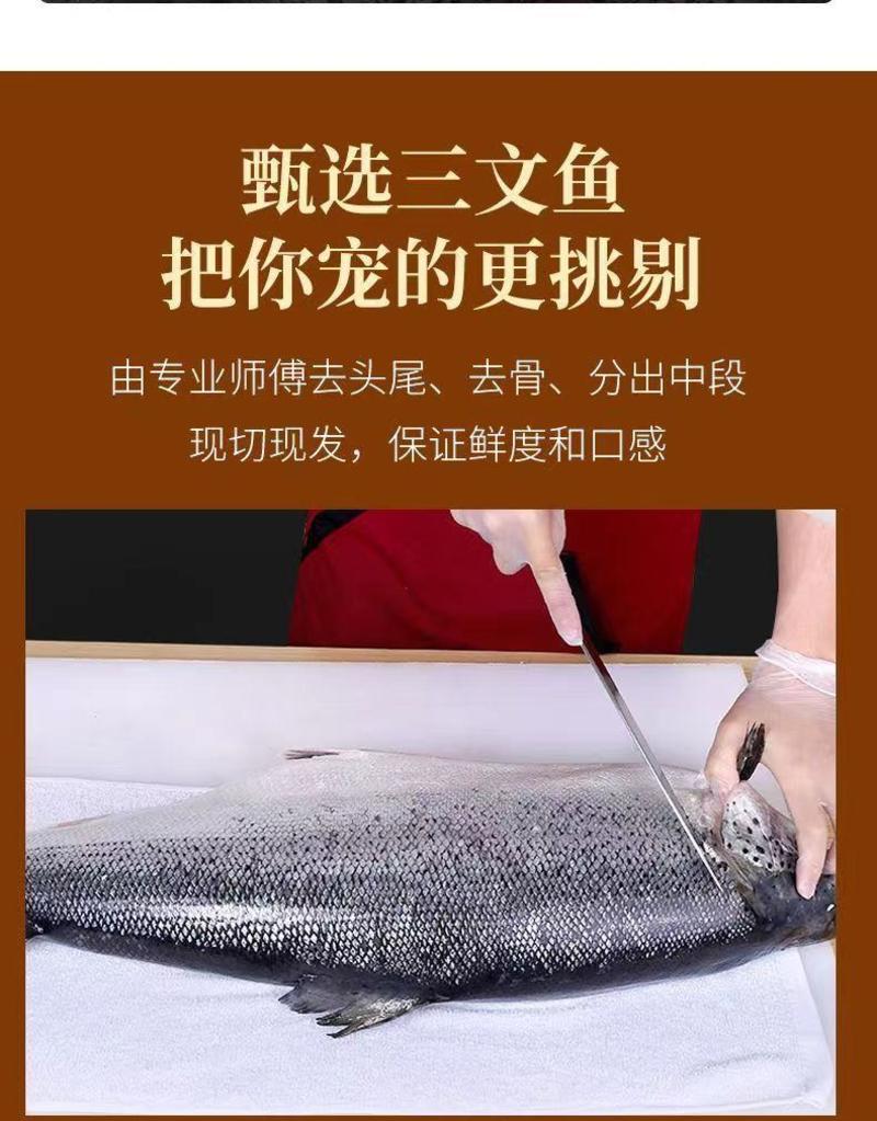 冰鲜三文鱼刺身海鲜生鱼片生吃自助餐厅料理店用批