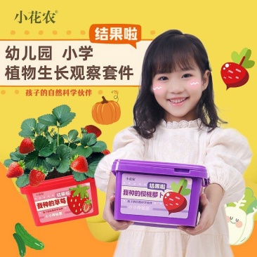 小花农种植小盆栽观察盒植物种子小学生花卉园艺蔬菜草莓种植