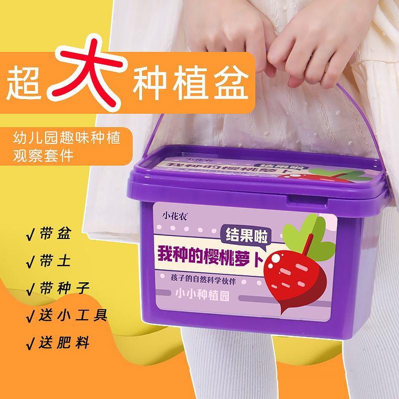 小花农种植小盆栽观察盒植物种子小学生花卉园艺蔬菜草莓种植
