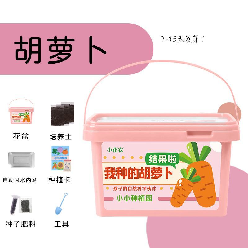小花农种植小盆栽观察盒植物种子小学生花卉园艺蔬菜草莓种植