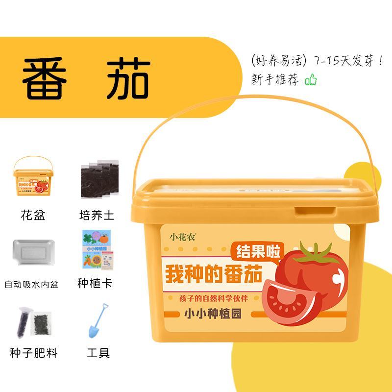 小花农种植小盆栽观察盒植物种子小学生花卉园艺蔬菜草莓种植