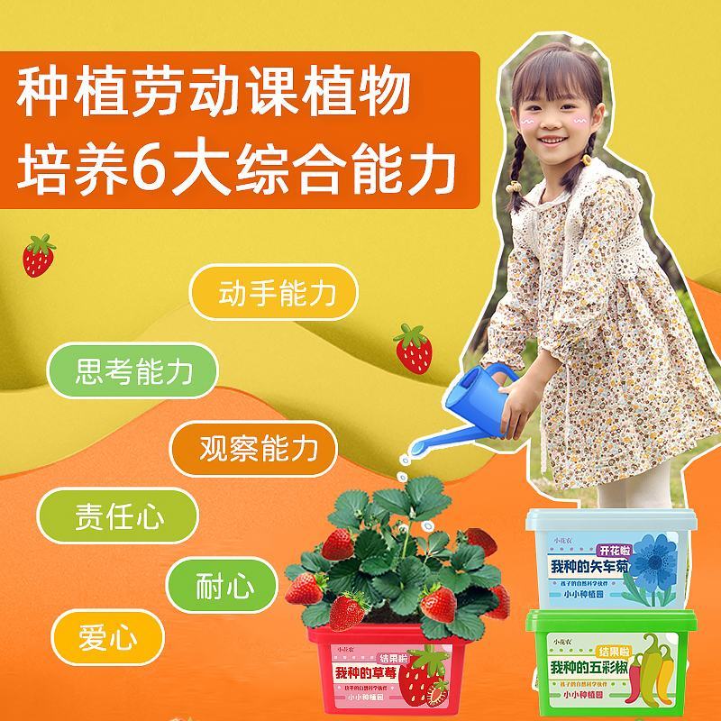 小花农种植小盆栽观察盒植物种子小学生花卉园艺蔬菜草莓种植