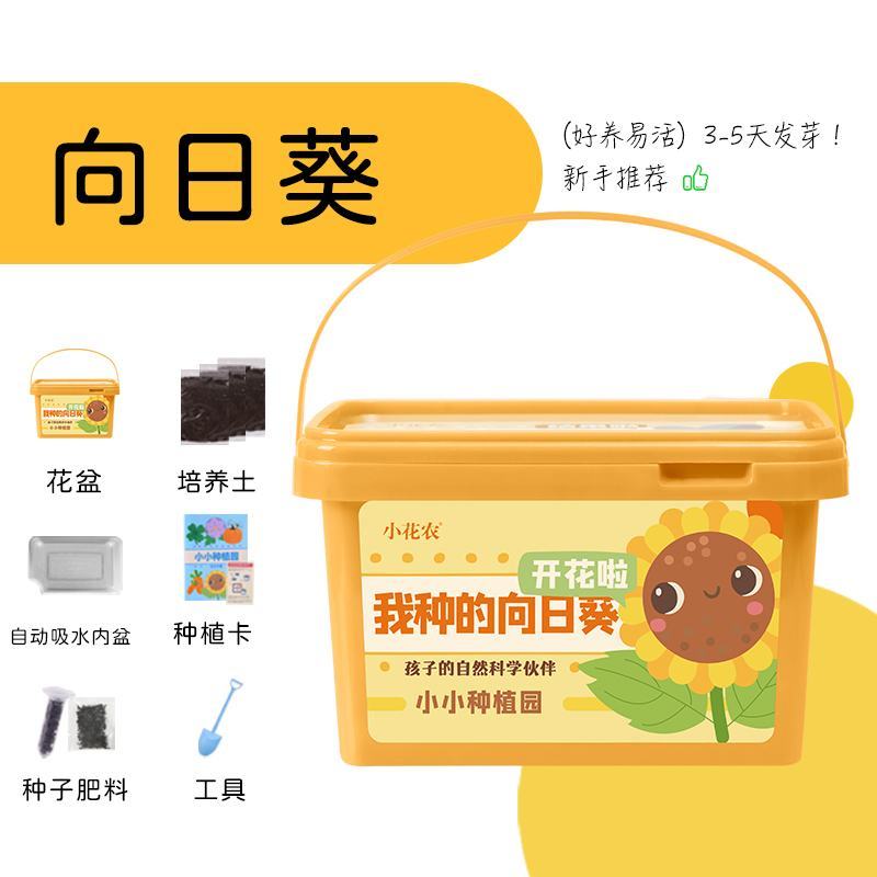小花农种植小盆栽观察盒植物种子小学生花卉园艺蔬菜草莓种植