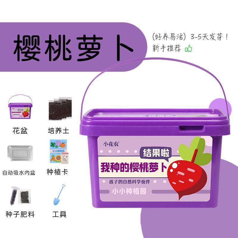 小花农种植小盆栽观察盒植物种子小学生花卉园艺蔬菜草莓种植