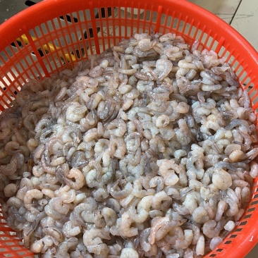 常年加工高端海虾仁丸子批发10斤/一件50斤