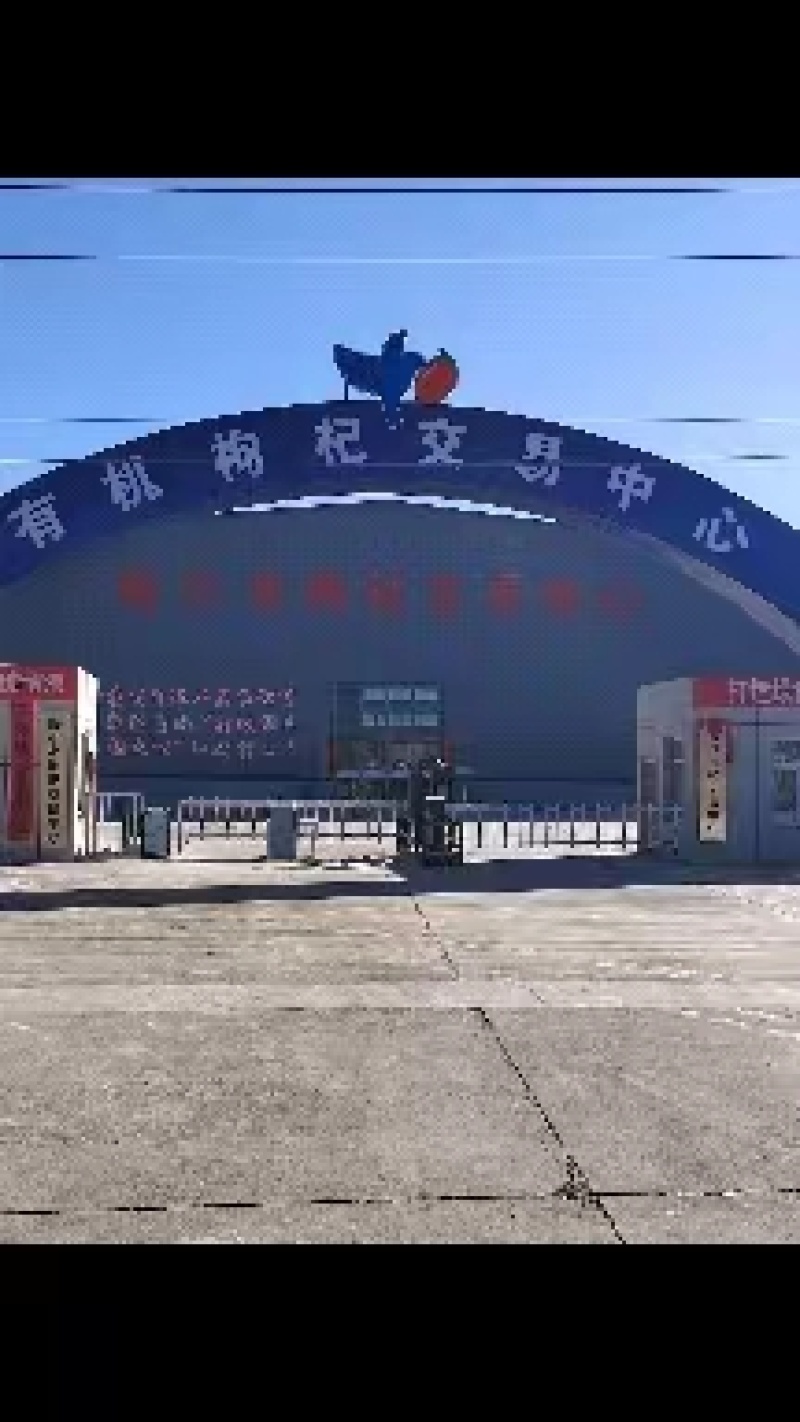 【推】2023年新货(头茬免洗)青海正品宁杞一号粒饱满