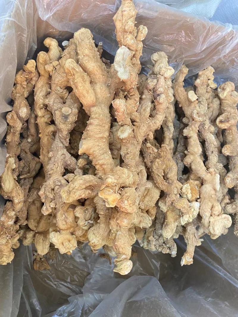 九华山野生黄精九蒸九晒质子肉糯头中药材熟养生滋补泡茶即食