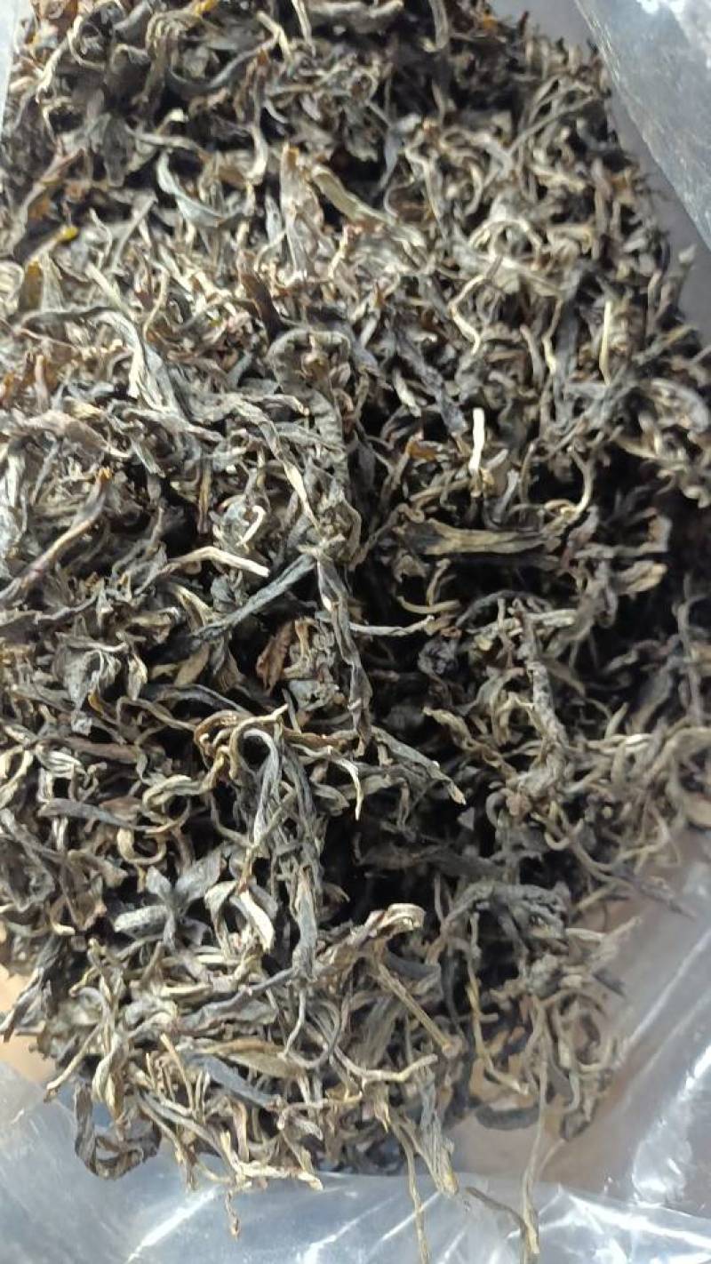 云南临沧云县普洱茶，300年左右古树茶，口感柔和，回甘。