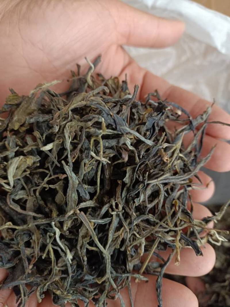 云南临沧云县普洱茶，300年左右古树茶，口感柔和，回甘。