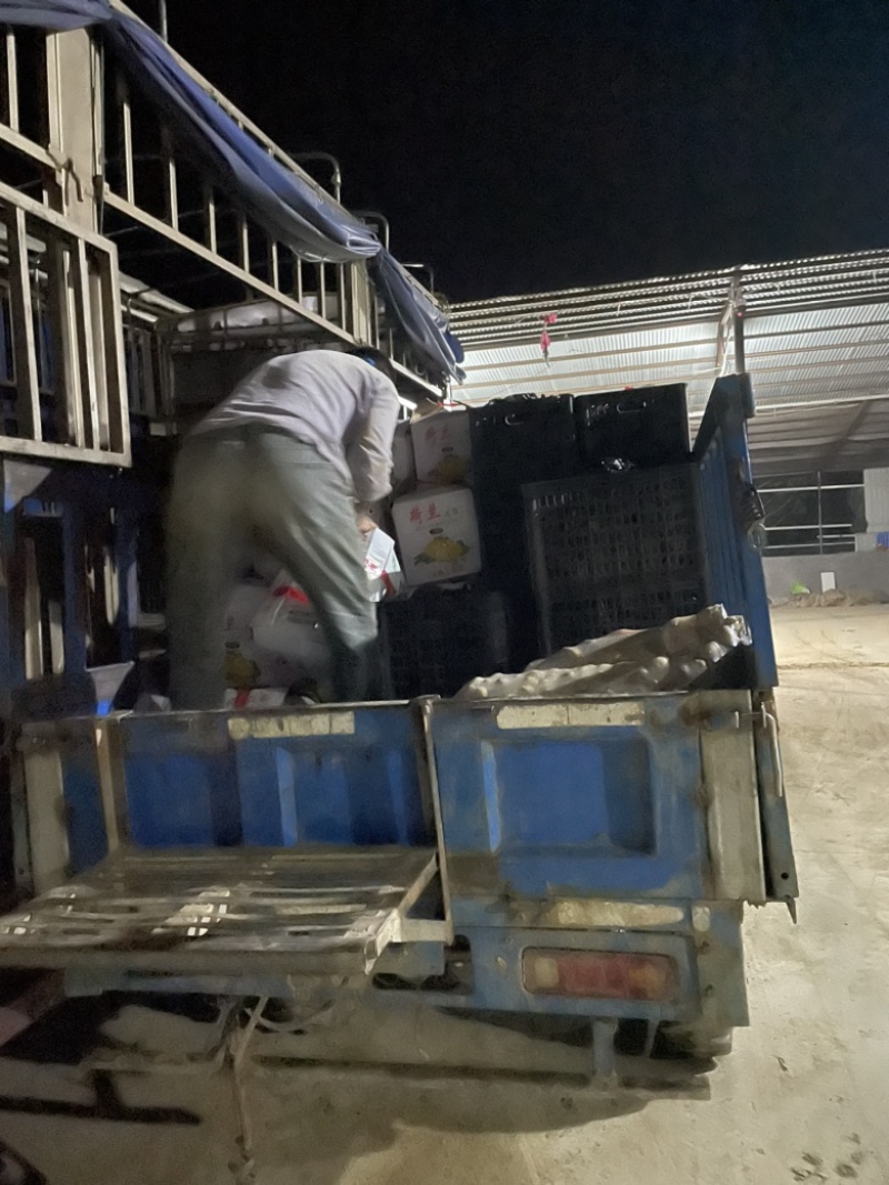 🥔中国马铃薯之乡荷兰十五土豆滕州市三膜土豆大量上市