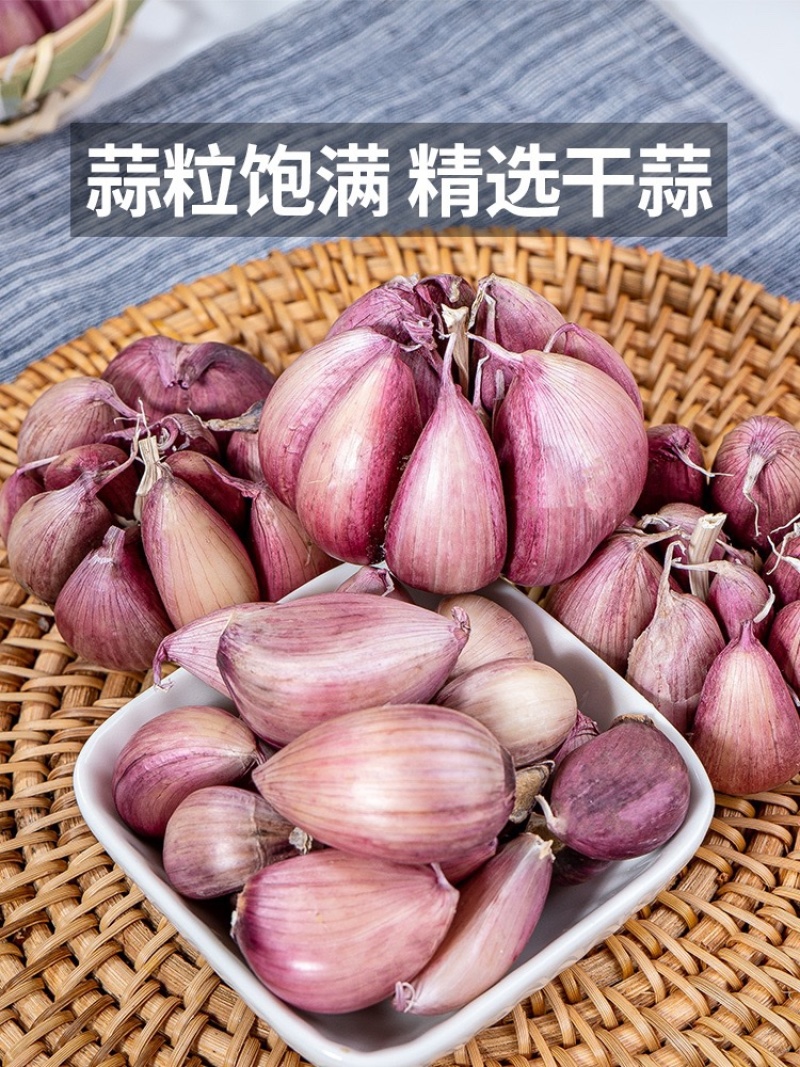 河北大蒜上市中产地一手货源品质保证诚信经营