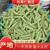 【全国发货】云南昭通长寿仁豌豆大量供应产地