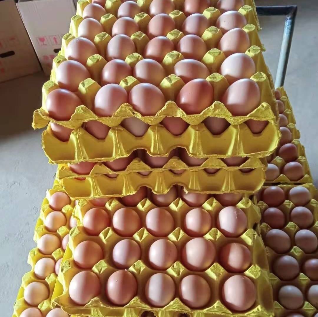 鸡蛋一篮