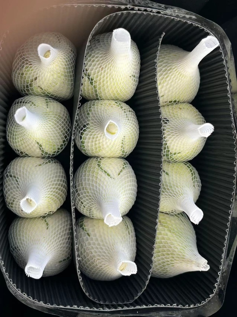 云南鲜花玫瑰花批发品种多颜色齐全货优价美质量保证