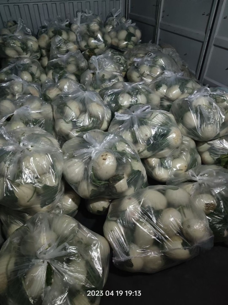 南汇玉菇大批量上市，软糯香甜，无青筋麻点