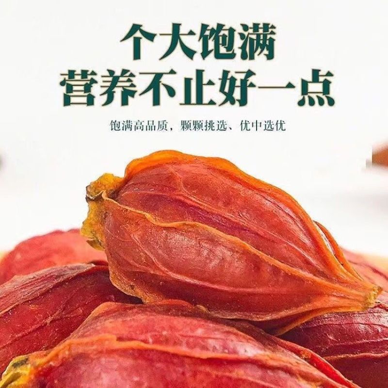 新货栀子果栀子花茶上色食用卤肉大颗野生栀子果黄栀子茶山栀