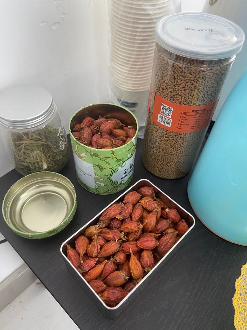 新货栀子果栀子花茶上色食用卤肉大颗野生栀子果黄栀子茶山栀