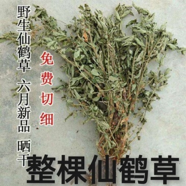 中药材仙鹤草500克包邮龙牙草老鹳嘴子母草草龙父子草狼牙