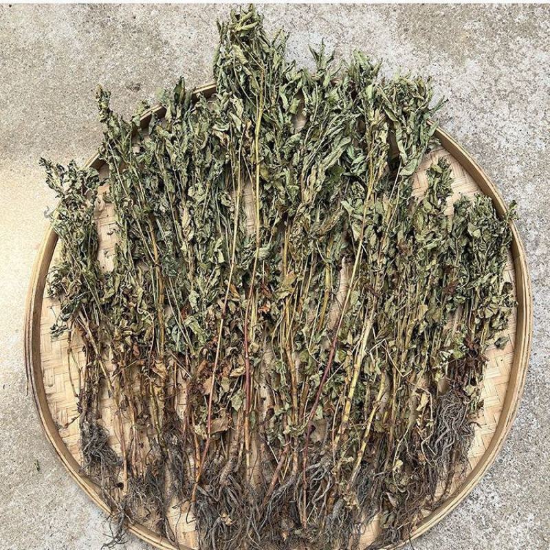 中药材仙鹤草500克包邮龙牙草老鹳嘴子母草草龙父子草狼牙