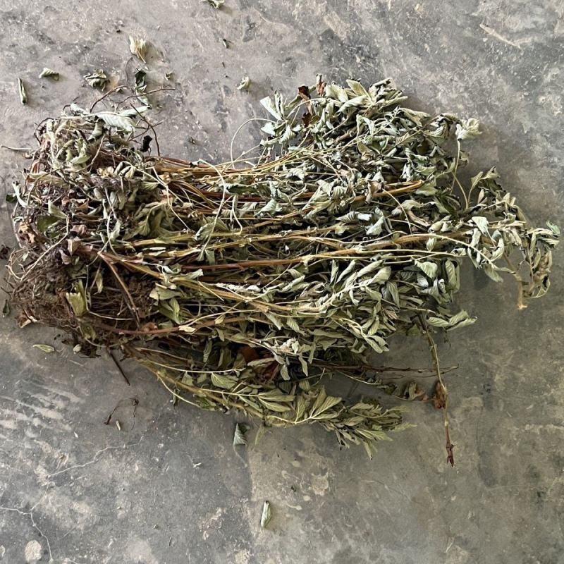 中药材仙鹤草500克包邮龙牙草老鹳嘴子母草草龙父子草狼牙