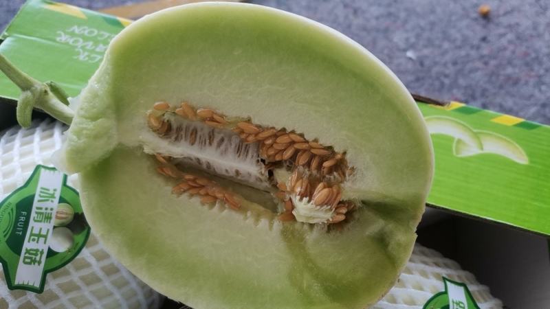 甜瓜蜜露，大批量上市中！