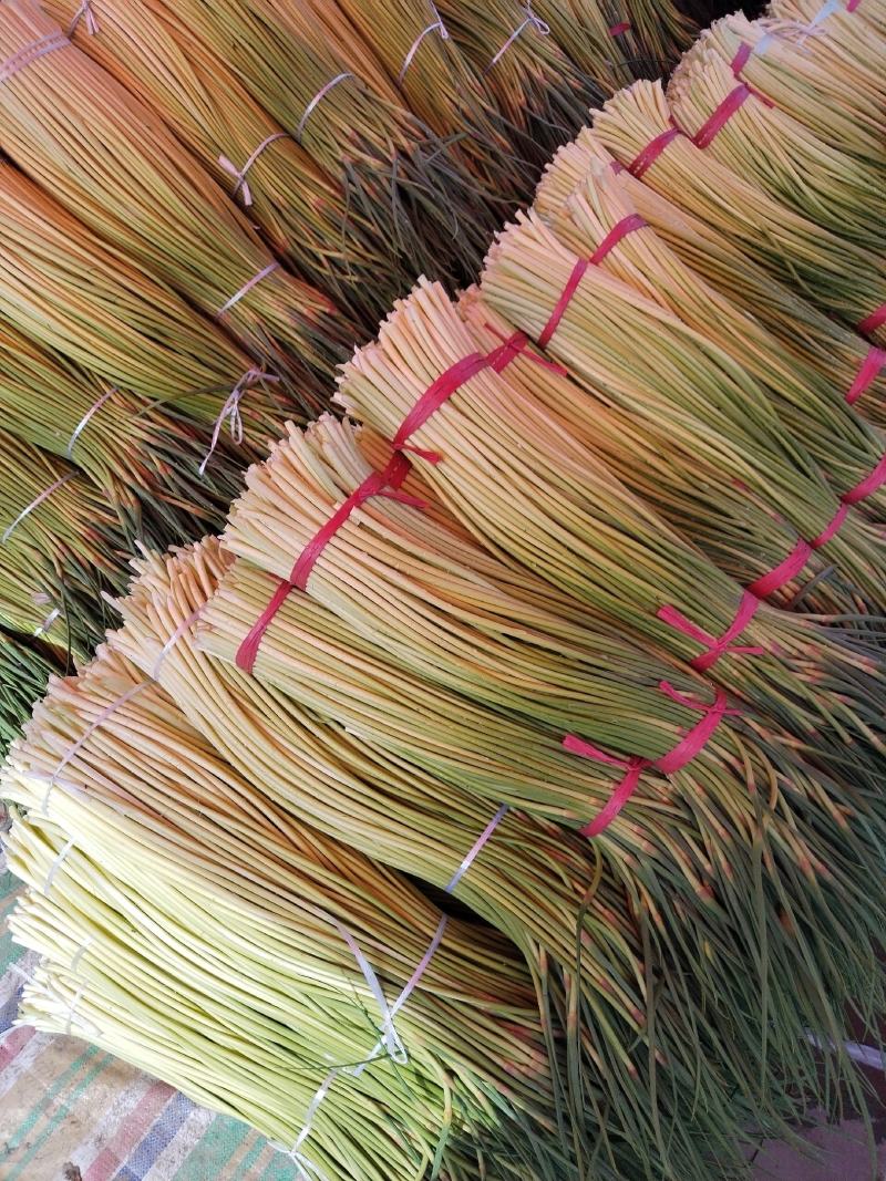 精品红帽量大质量好，需要的老板联系我，代发全国