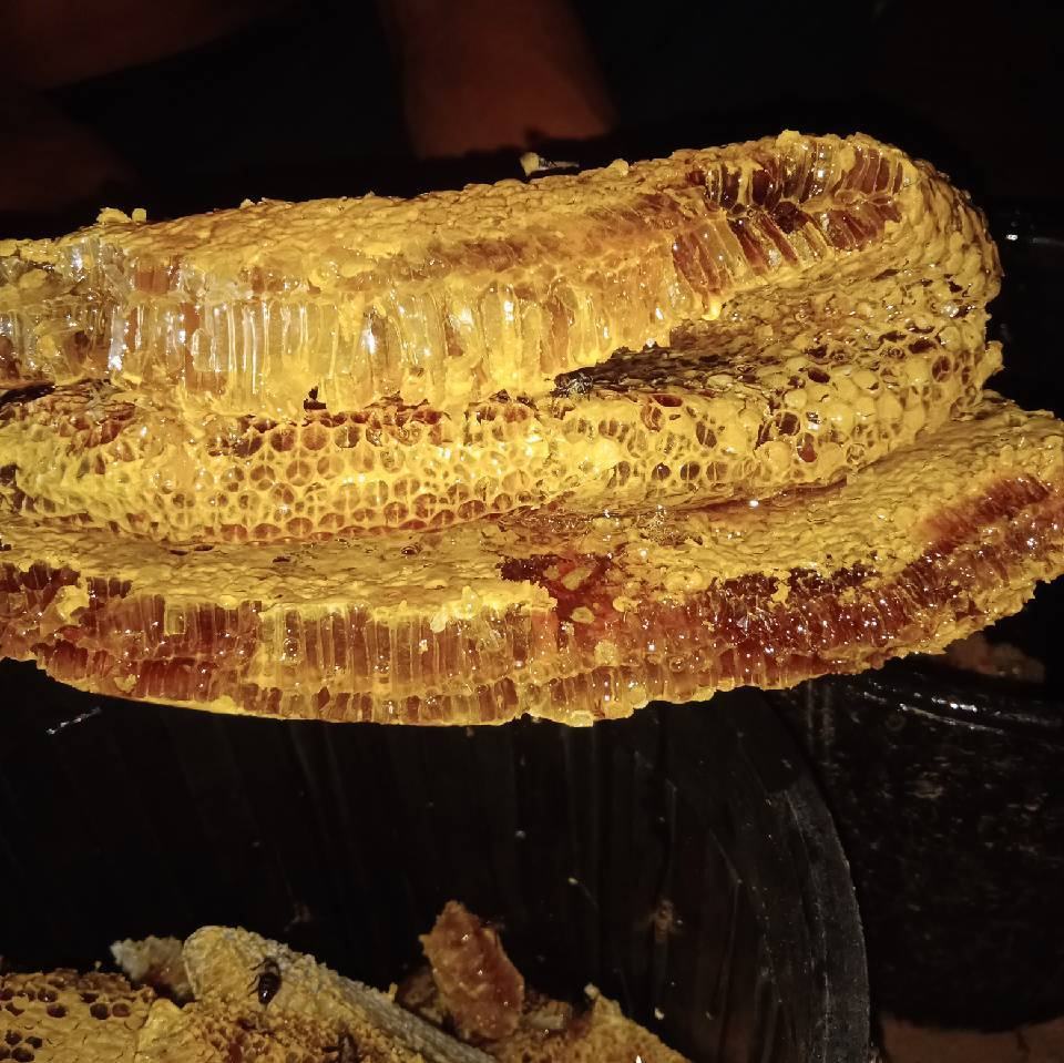 清澈的蜂蜜缓缓倒入玻璃碗中,背景为自然阳光下的蜂巢 蜂蜜特写