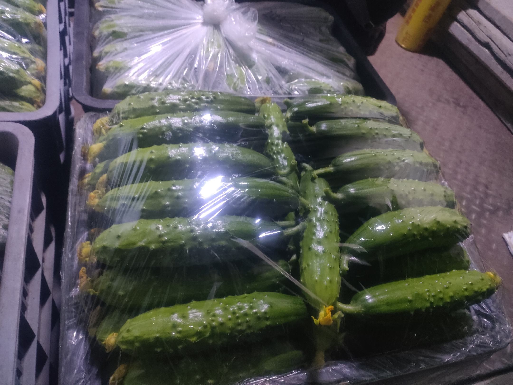 旱黄瓜与水黄瓜外观对比图