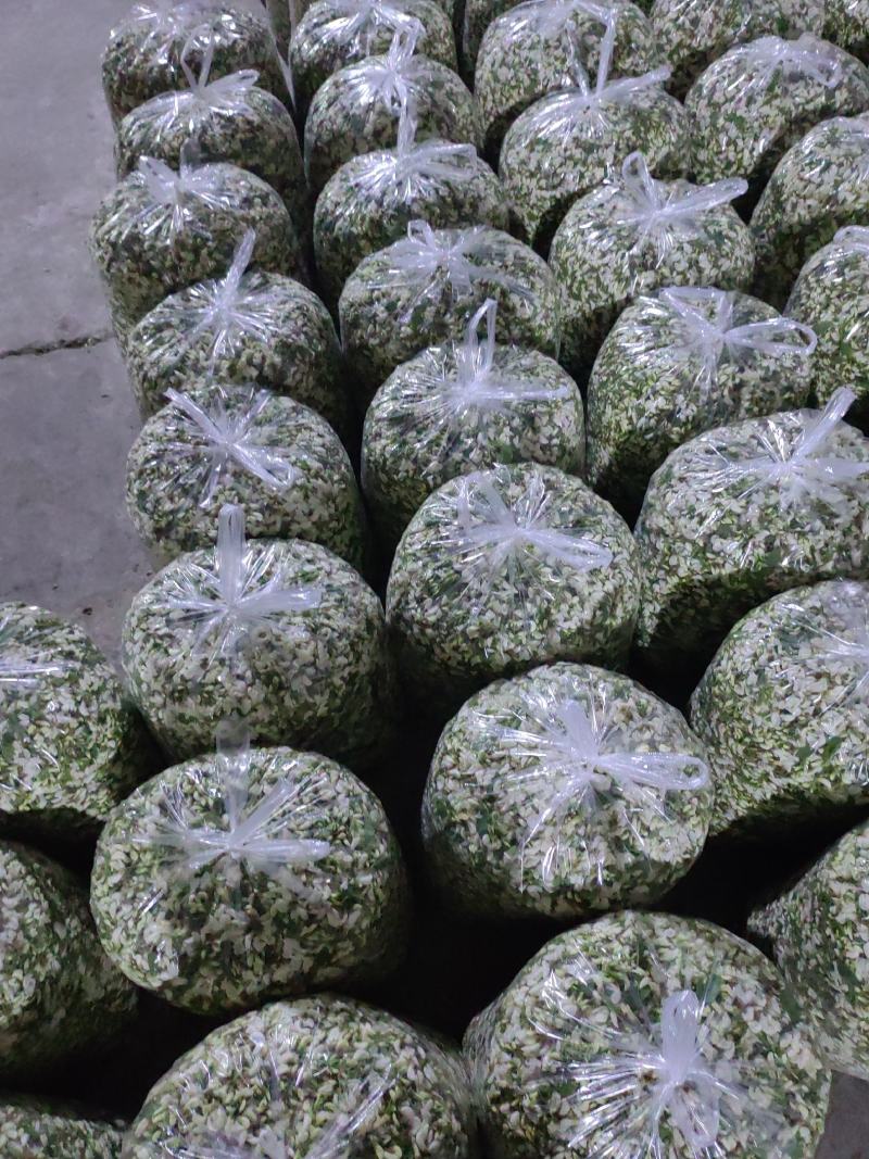 新鲜槐花2026年新货，乡间美味，欢迎各大加工厂联系