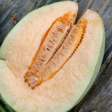 小蜜东方蜜玉菇特小凤