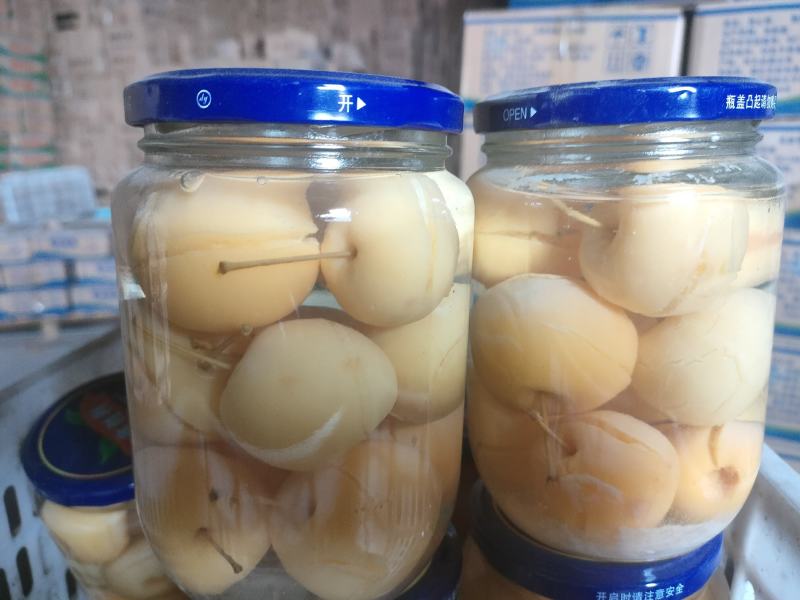 各种水果罐头厂家发货