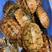 出20个黄壳南石种龟，5公15母，龟健康全尾，共42.6