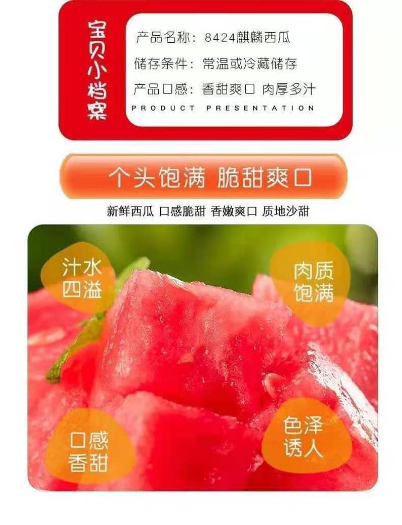 8424麒麟西瓜冰糖少籽麒麟瓜美都西瓜薄皮多汁现摘现发应