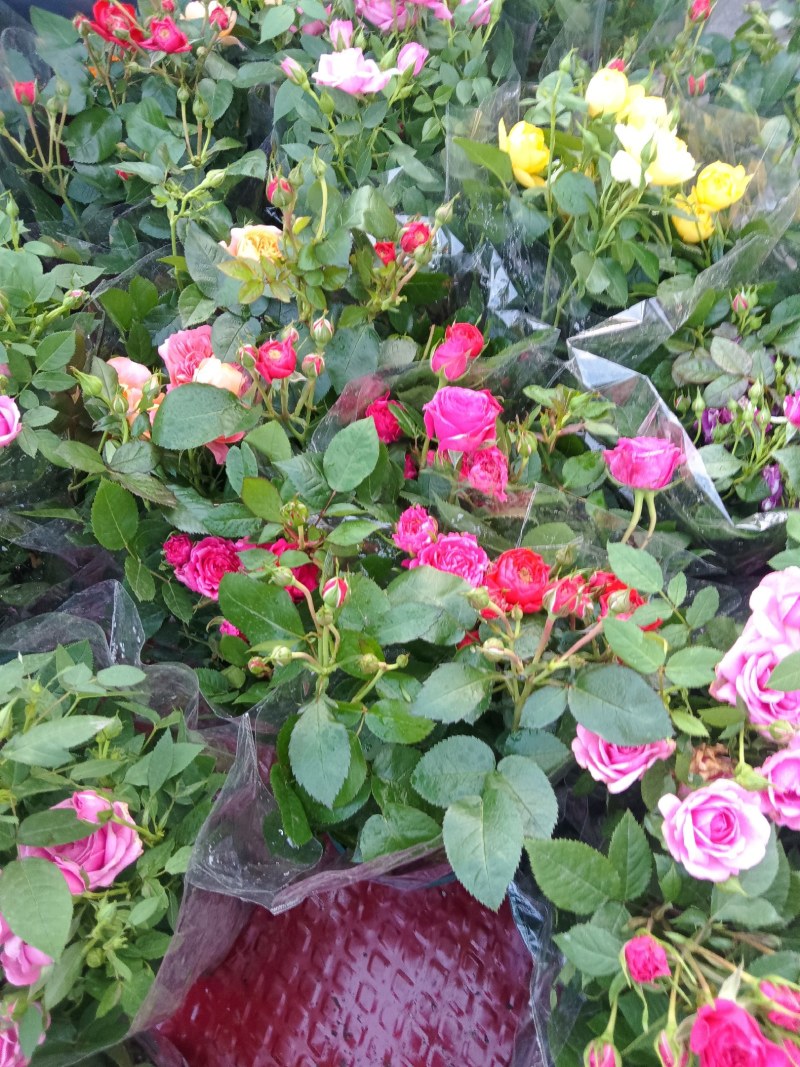 花坊