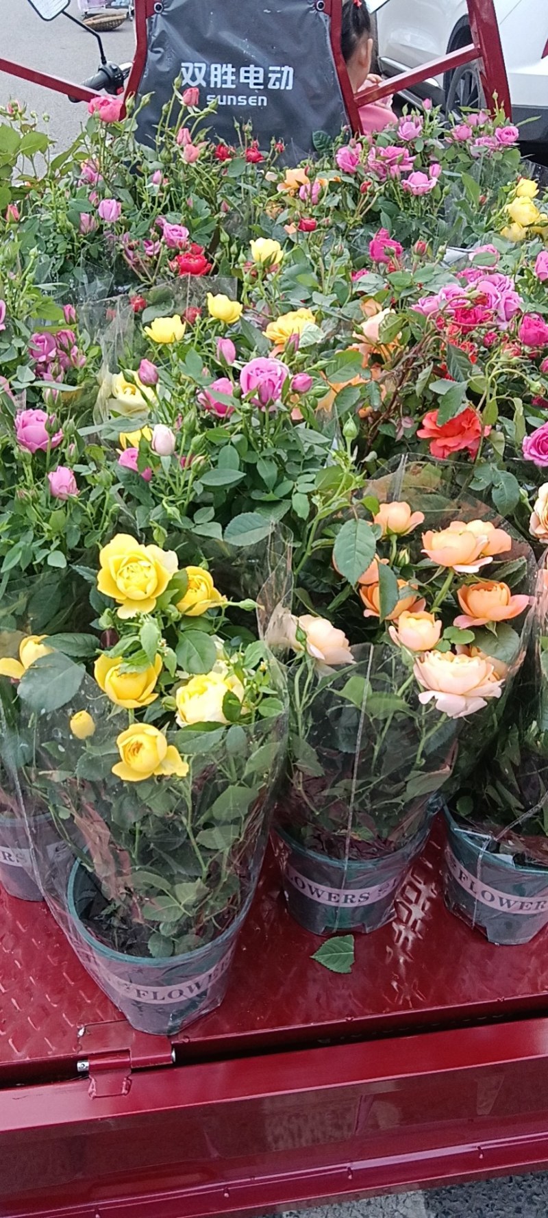 花坊