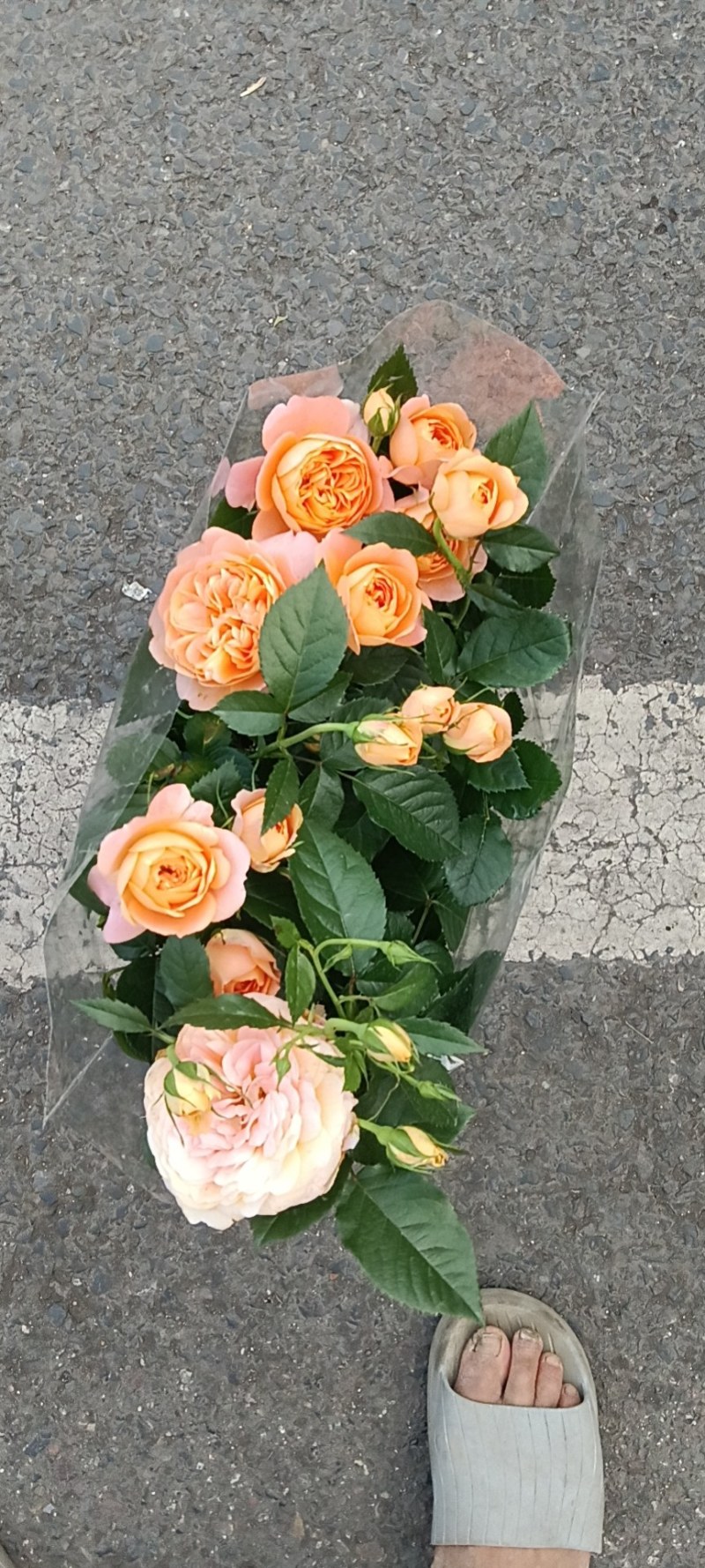 花坊
