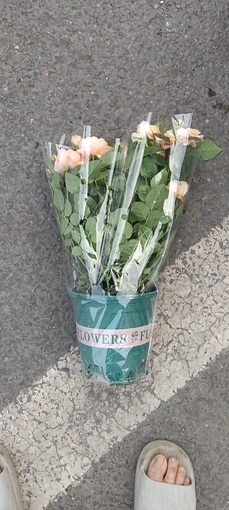花坊