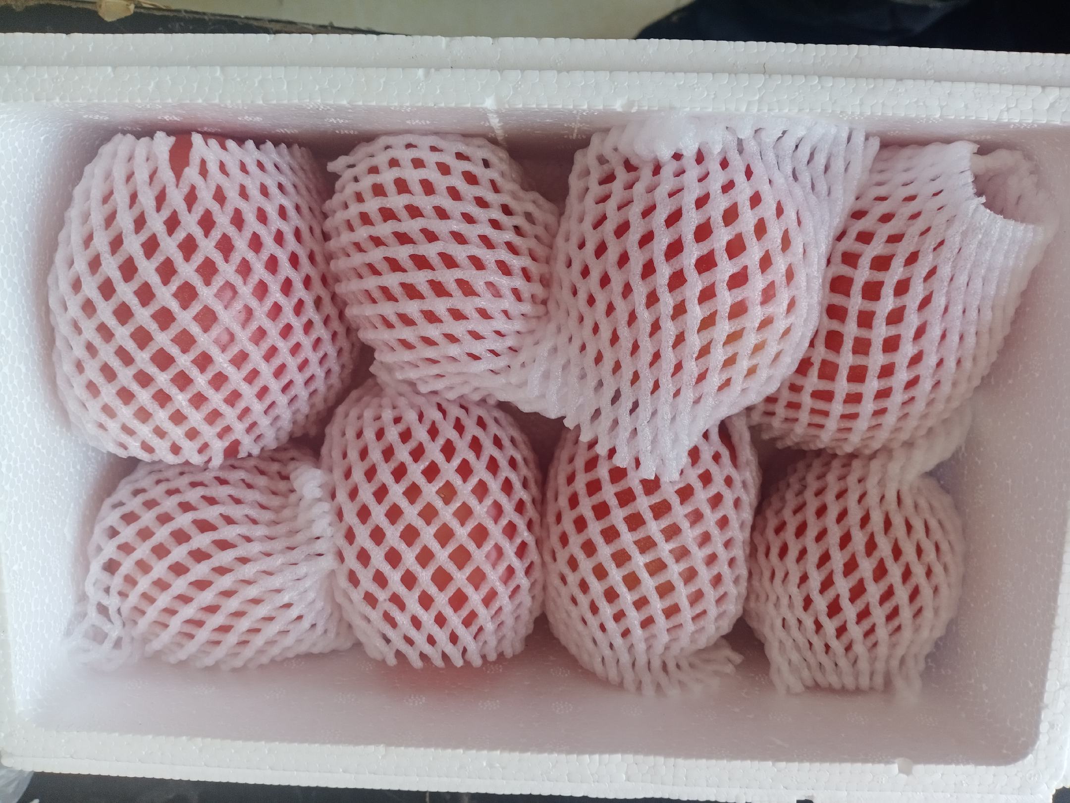 海南玫珑网纹瓜智能化分拣包装车间实景