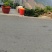 永善大兴枇杷