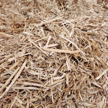 小麦桔杆牛羊饲草