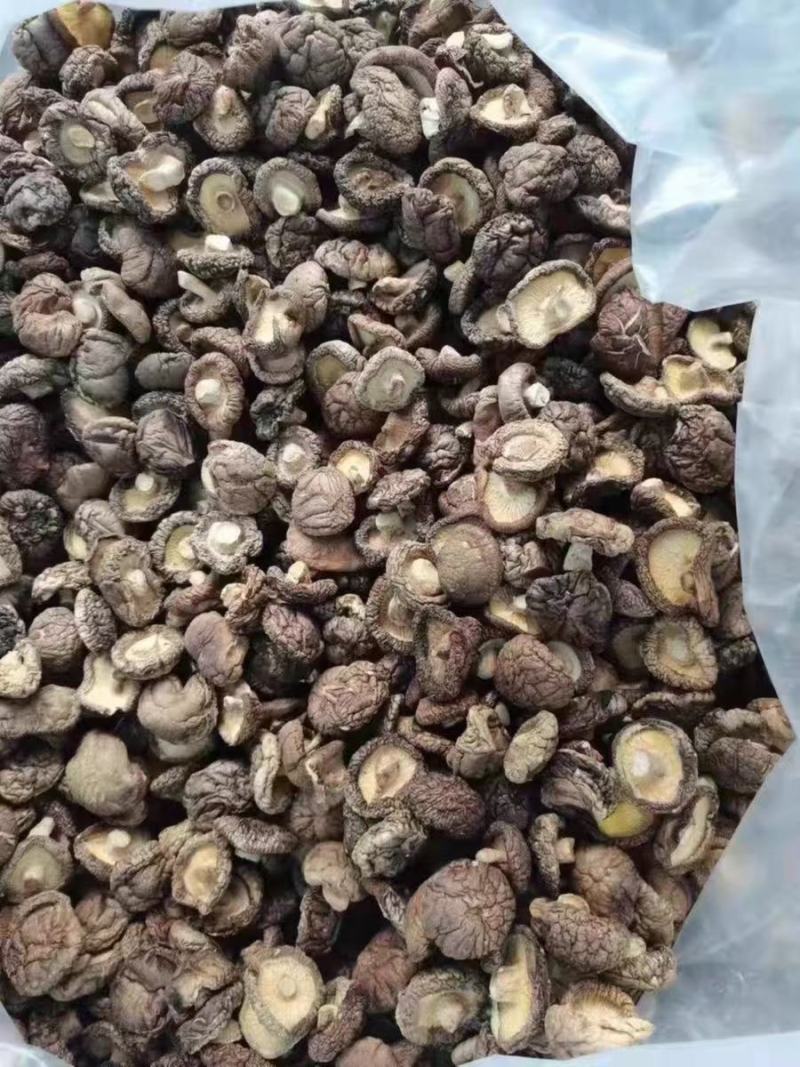 东北香菇花菇香菇腿批发，一手货源，基地直发接商超市场电商！