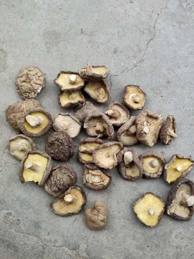 东北香菇花菇香菇腿批发，一手货源，基地直发接商超市场电商！