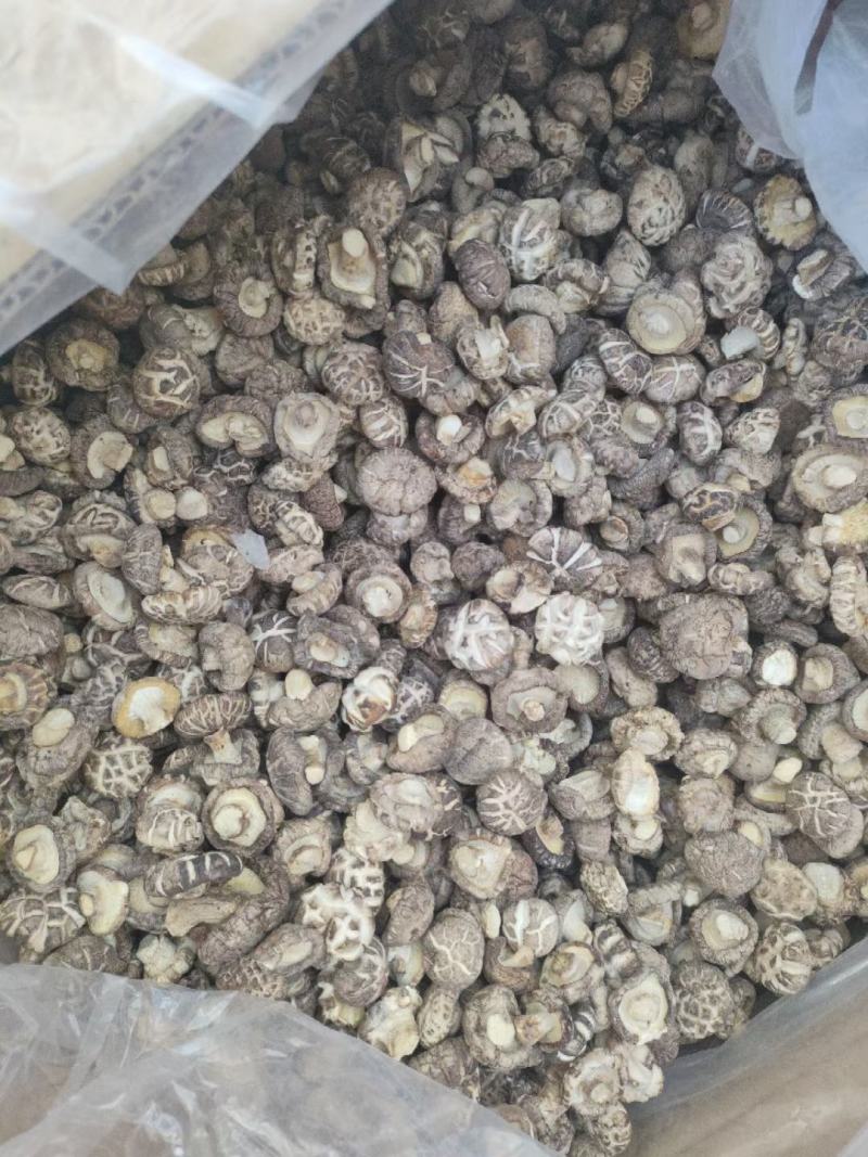 东北香菇花菇香菇腿批发，一手货源，基地直发接商超市场电商！