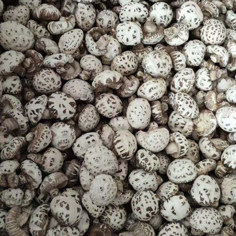 东北香菇花菇香菇腿批发，一手货源，基地直发接商超市场电商！
