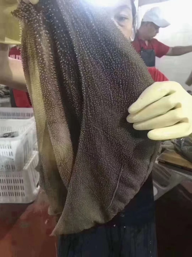 清真毛肚大叶片（中叶片）